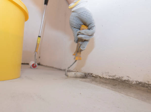 Best Termite Inspection and Treatment  in Wilton, CA